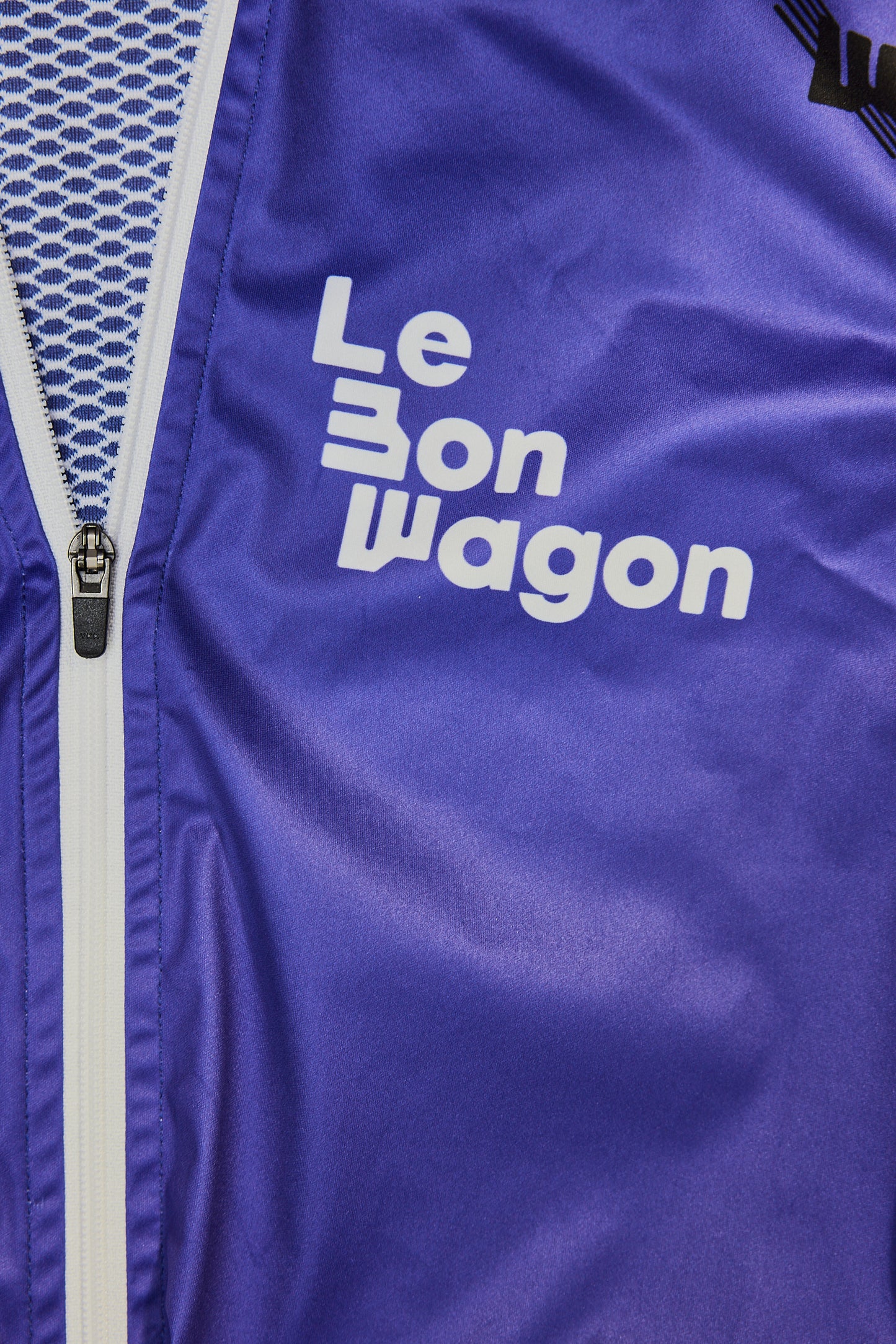 Purple Line Men's Vest
