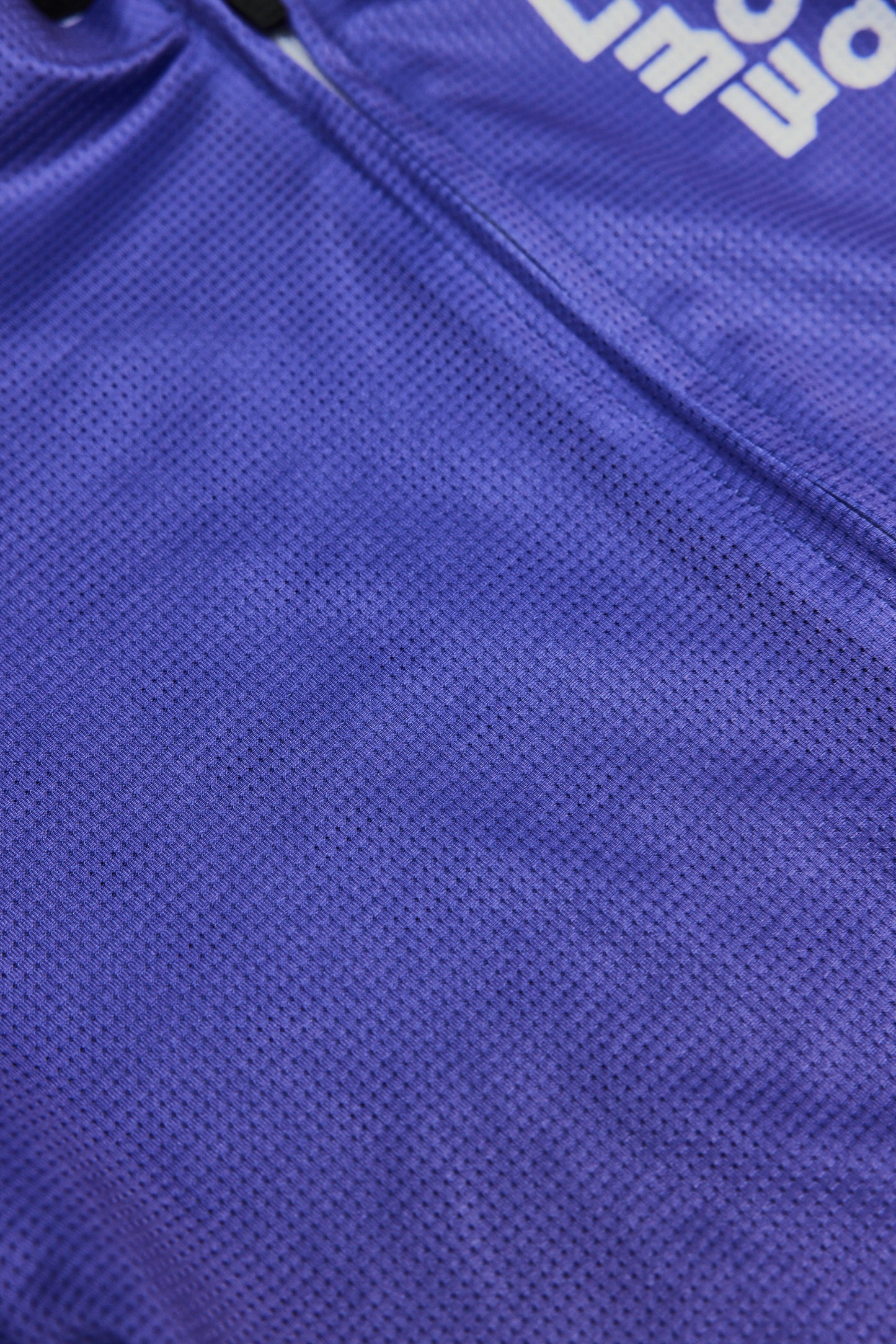 Purple Line Men's Purple Jersey
